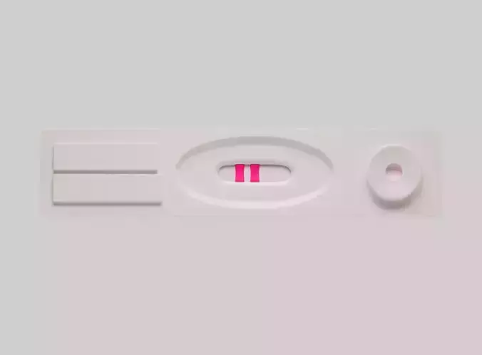 Pregnancy test
