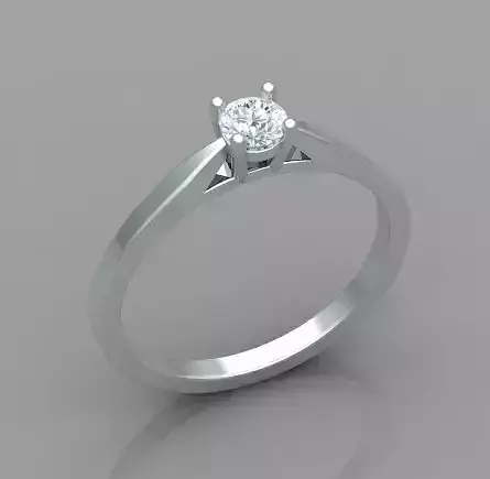 Wedding Rings 3D print model 3D print model