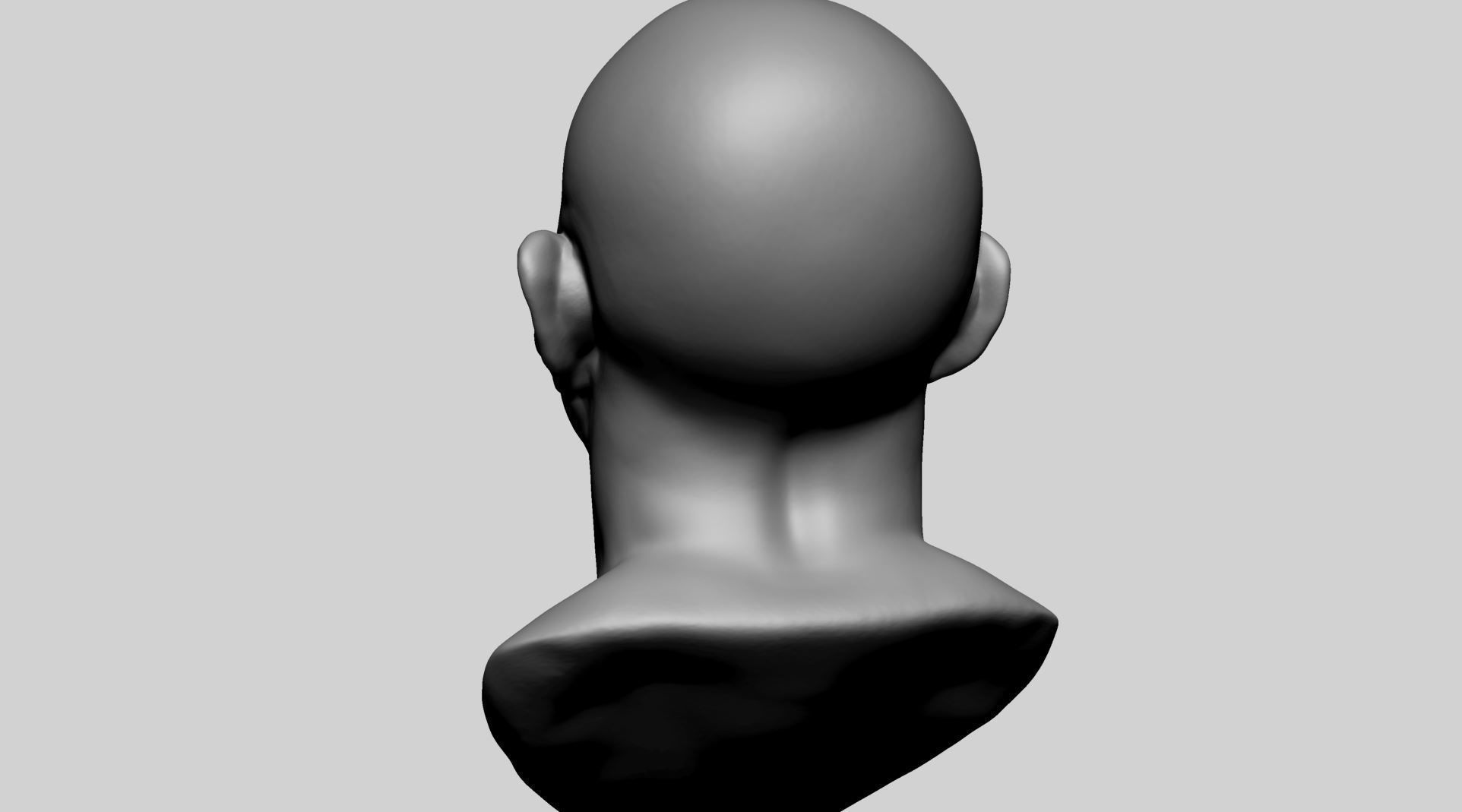 Base Male Head D 3D model_4