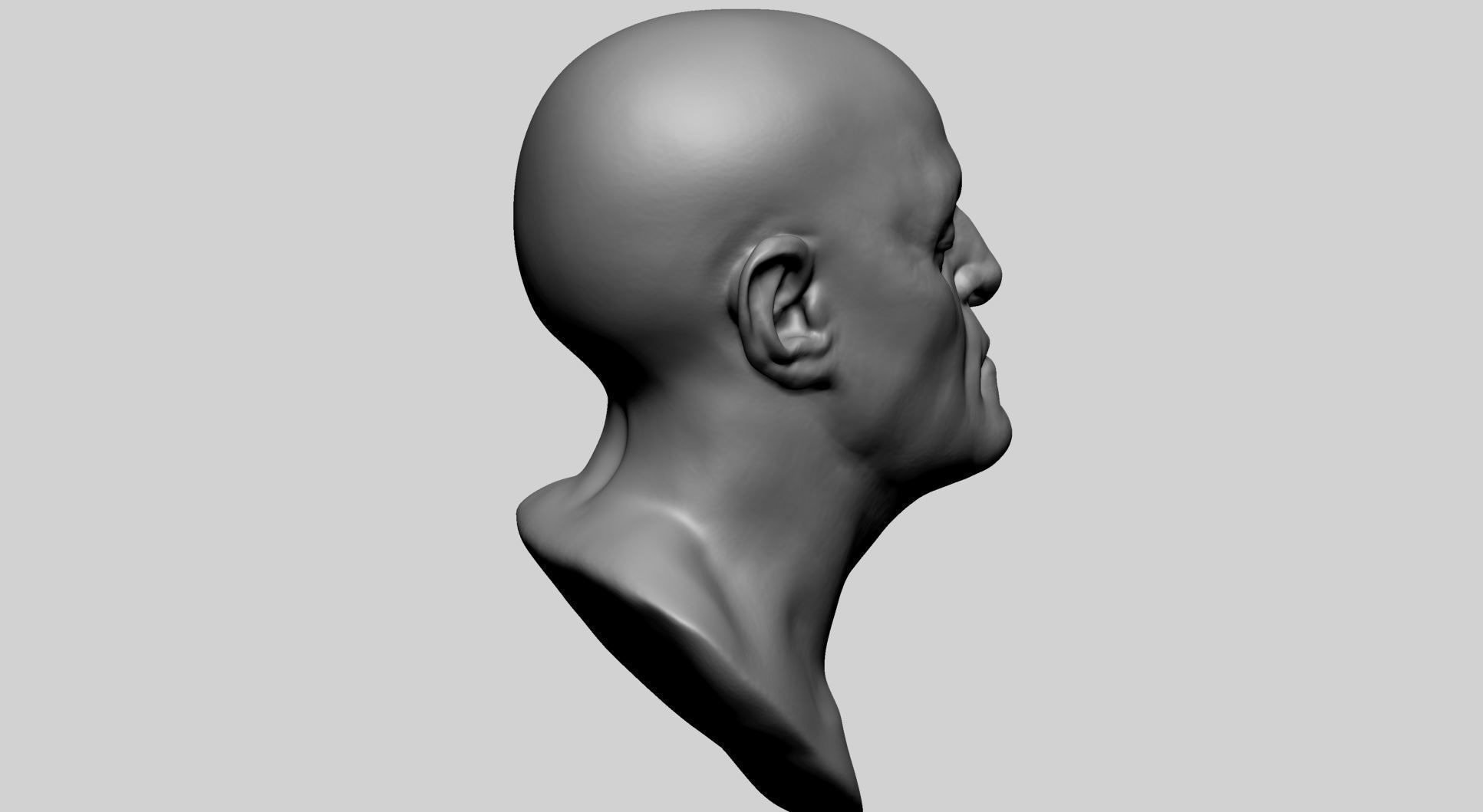 Base Male Head D 3D model_2