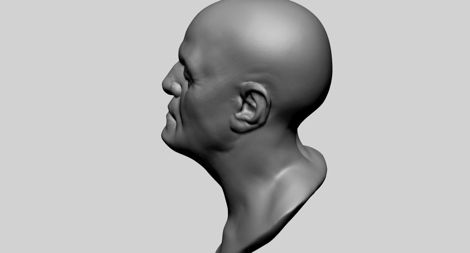 Base Male Head D 3D model_5