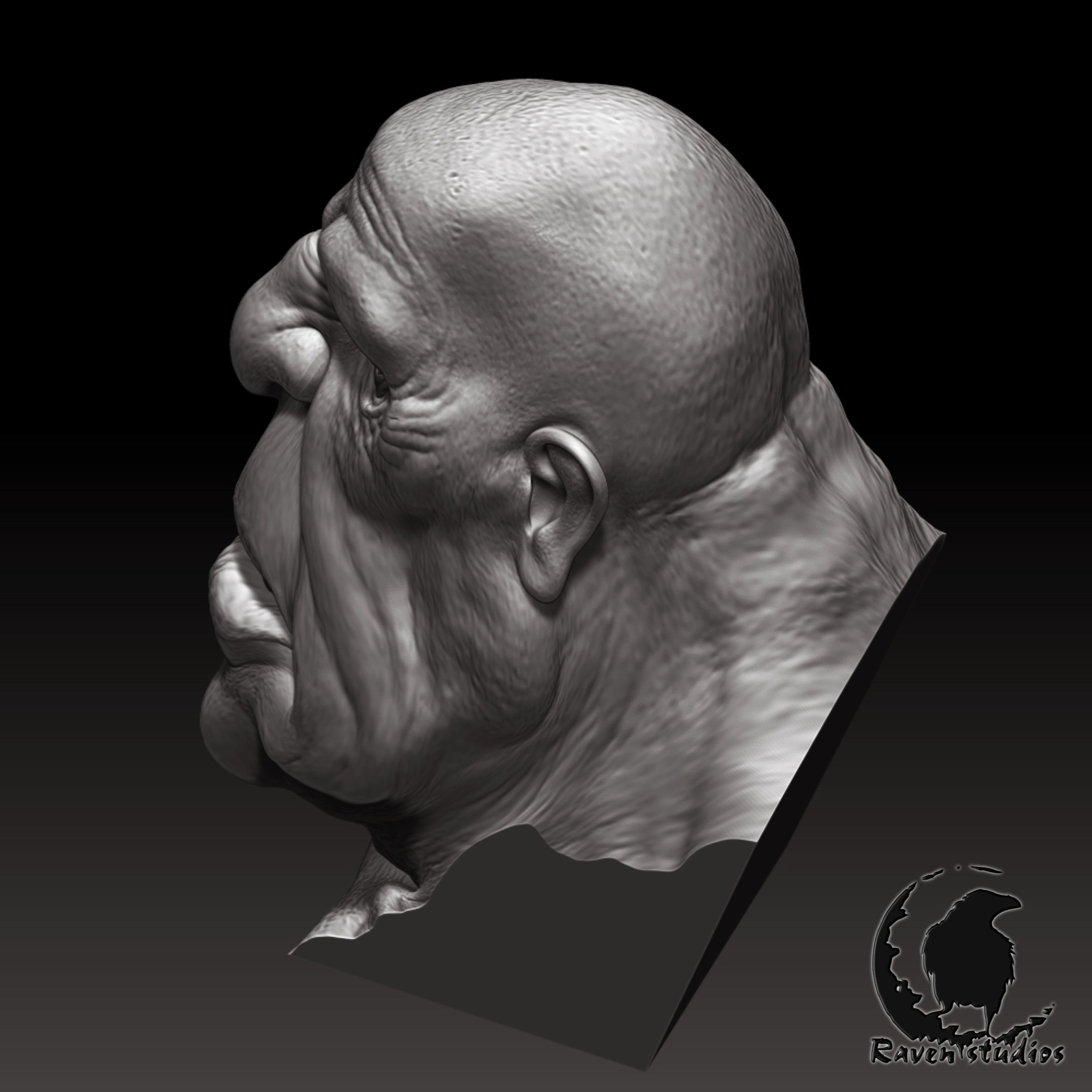 HD HEAD GIANT HEAD 3D print model_3