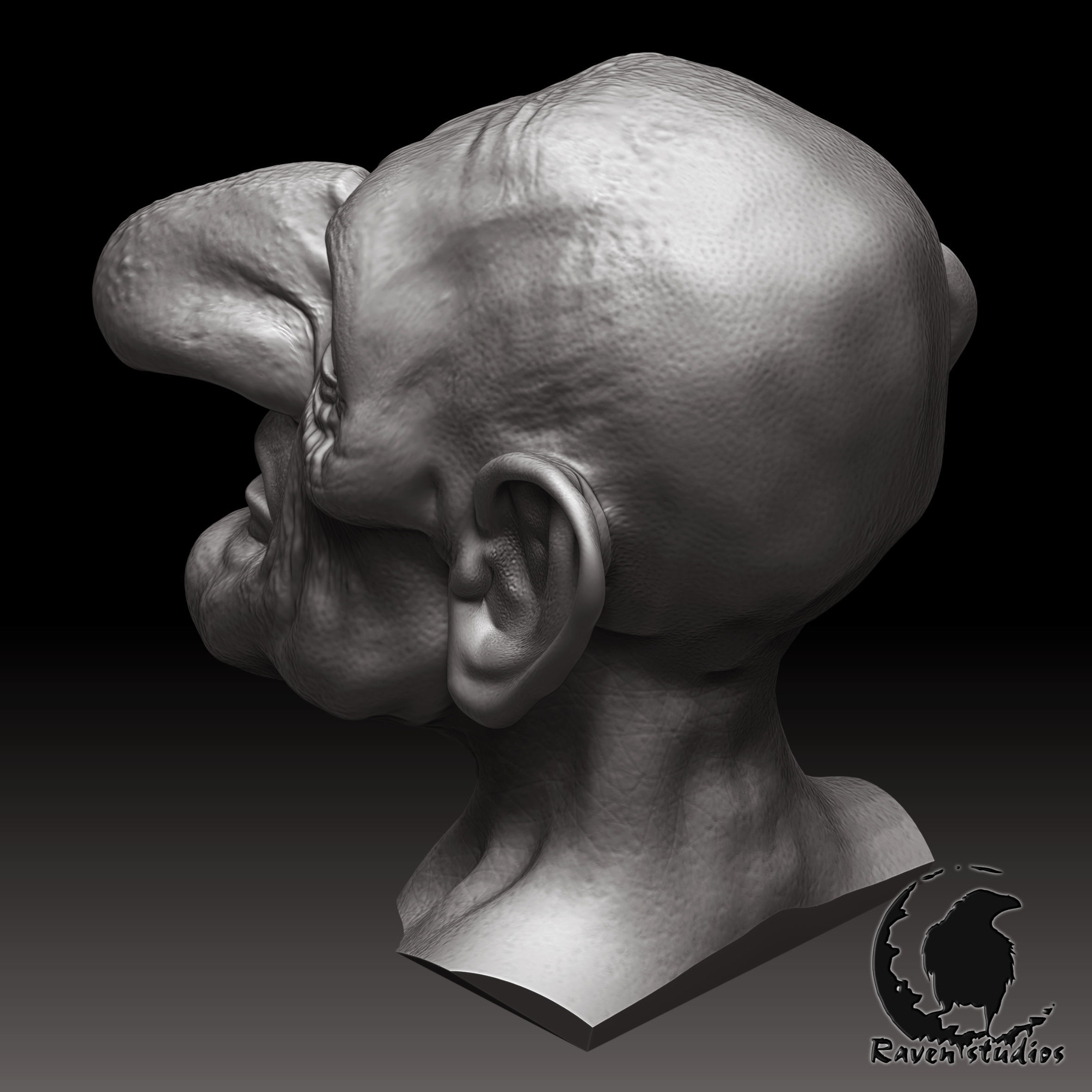 HD HEAD GNOME HEAD 3D print model_1
