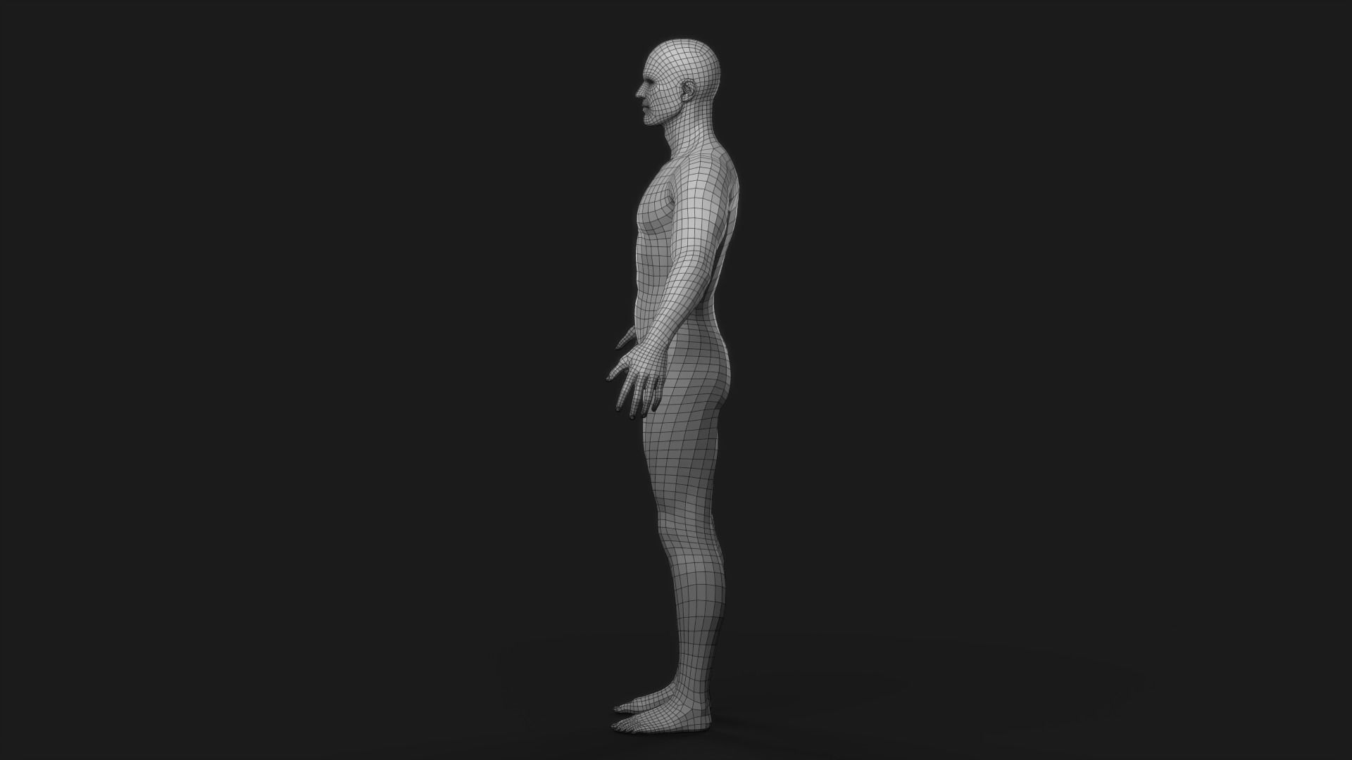 Realistic Man Body Basemesh Low-poly 3D model_2
