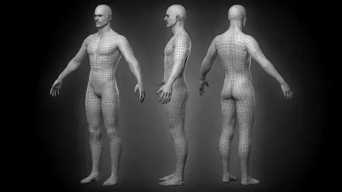 Realistic Man Body Basemesh Low-poly 3D model