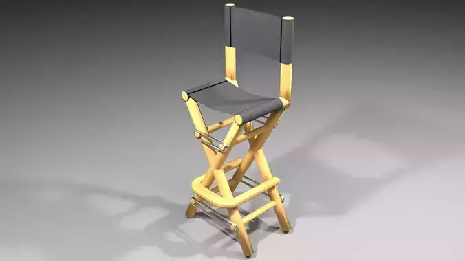 Director Chair 1