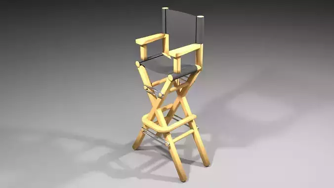 Director Chair 2