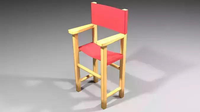 Director Chair 3