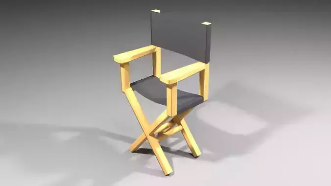 Director Chair 4