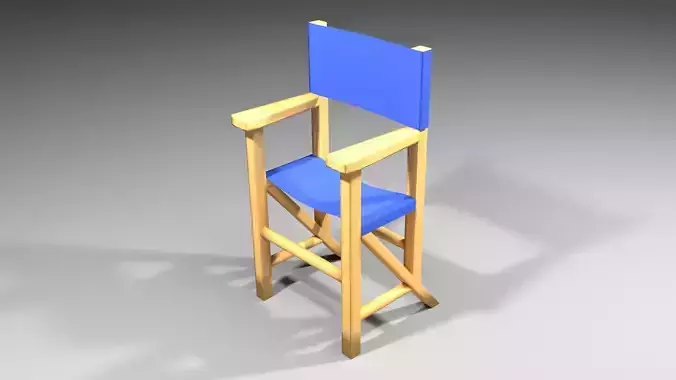Director Chair 5