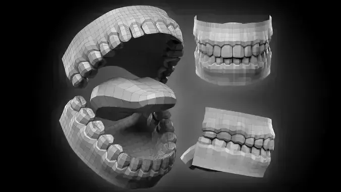 Realistic Human Jaws and Tongue