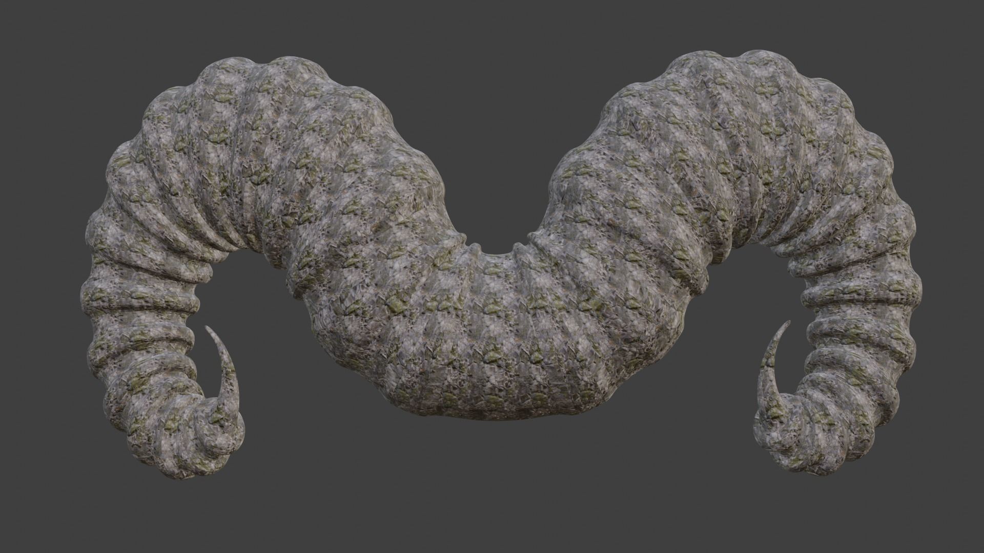 Ram horns sculpture  3D print model_5