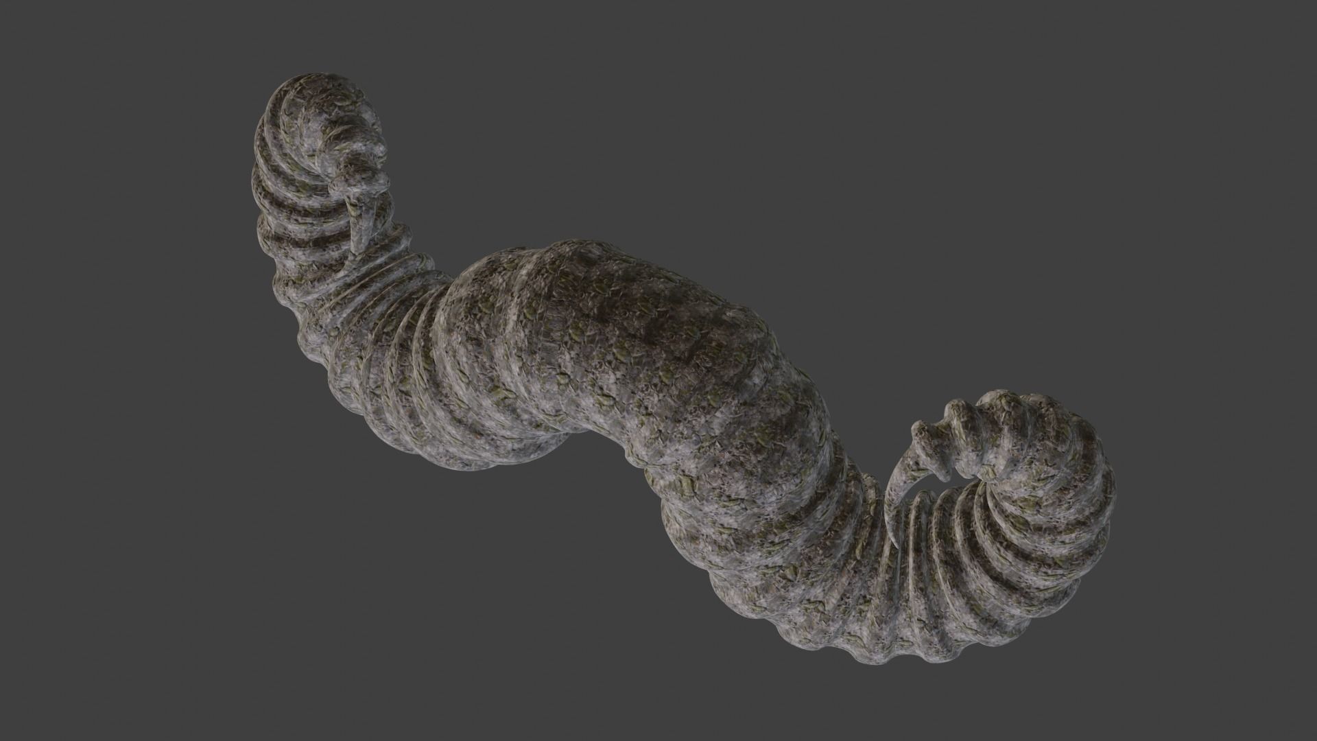 Ram horns sculpture  3D print model_4