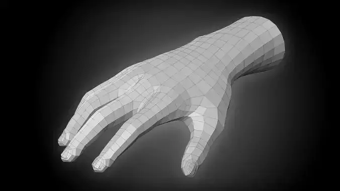 Realistic Human Hand