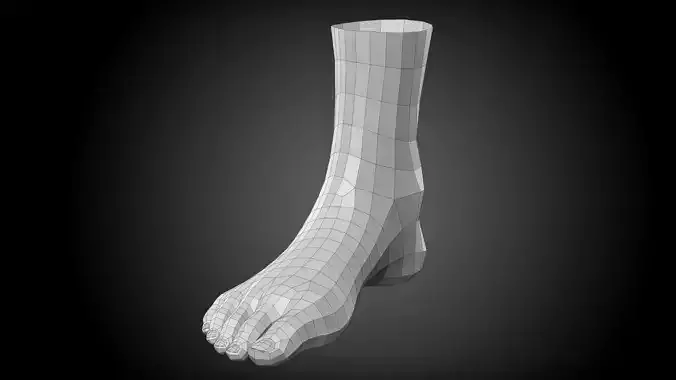 Realistic Human Foot Low-poly 3D model
