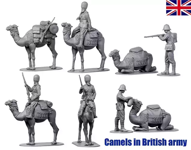  Camels in British army  3D print model