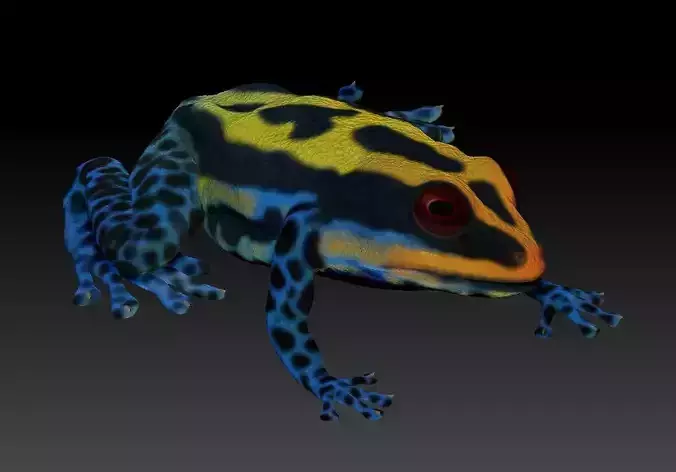 Poison dart frog 3D print model