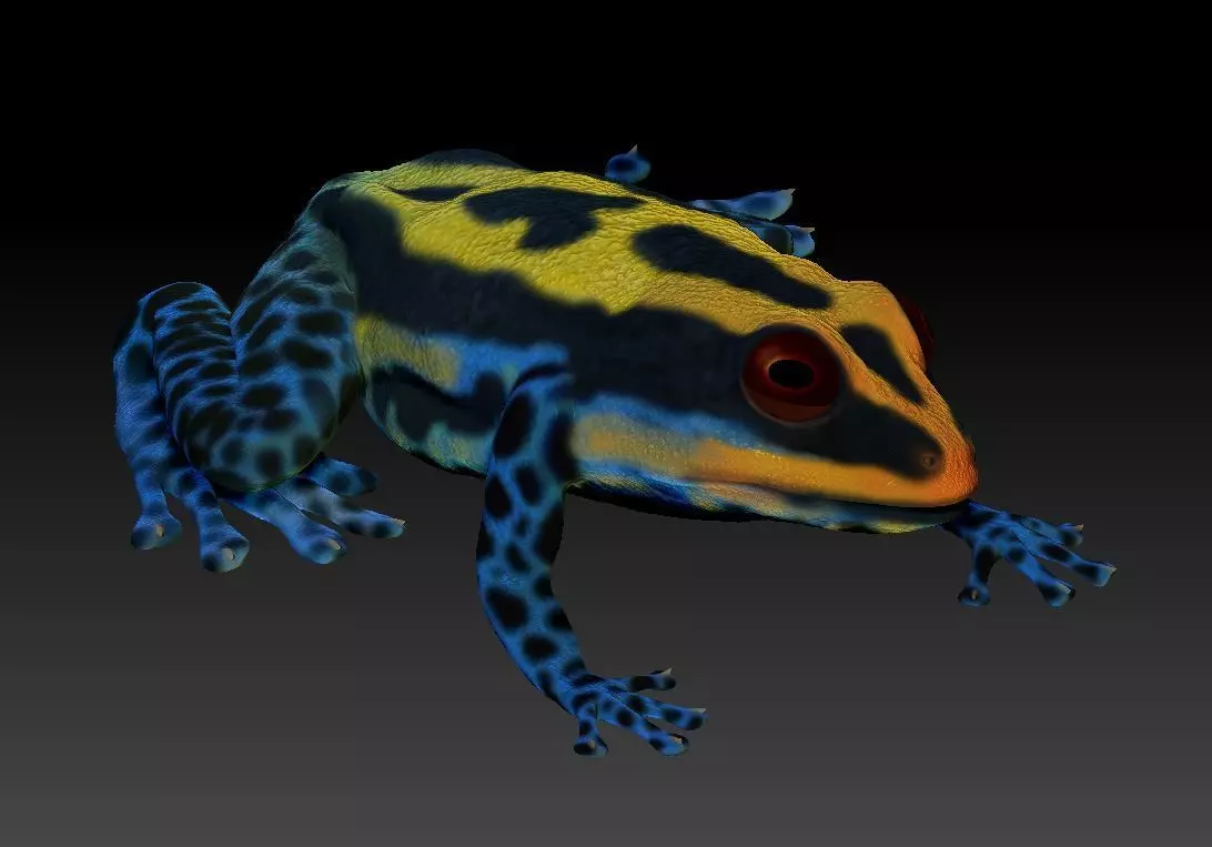 Poison dart frog 3D print model_0
