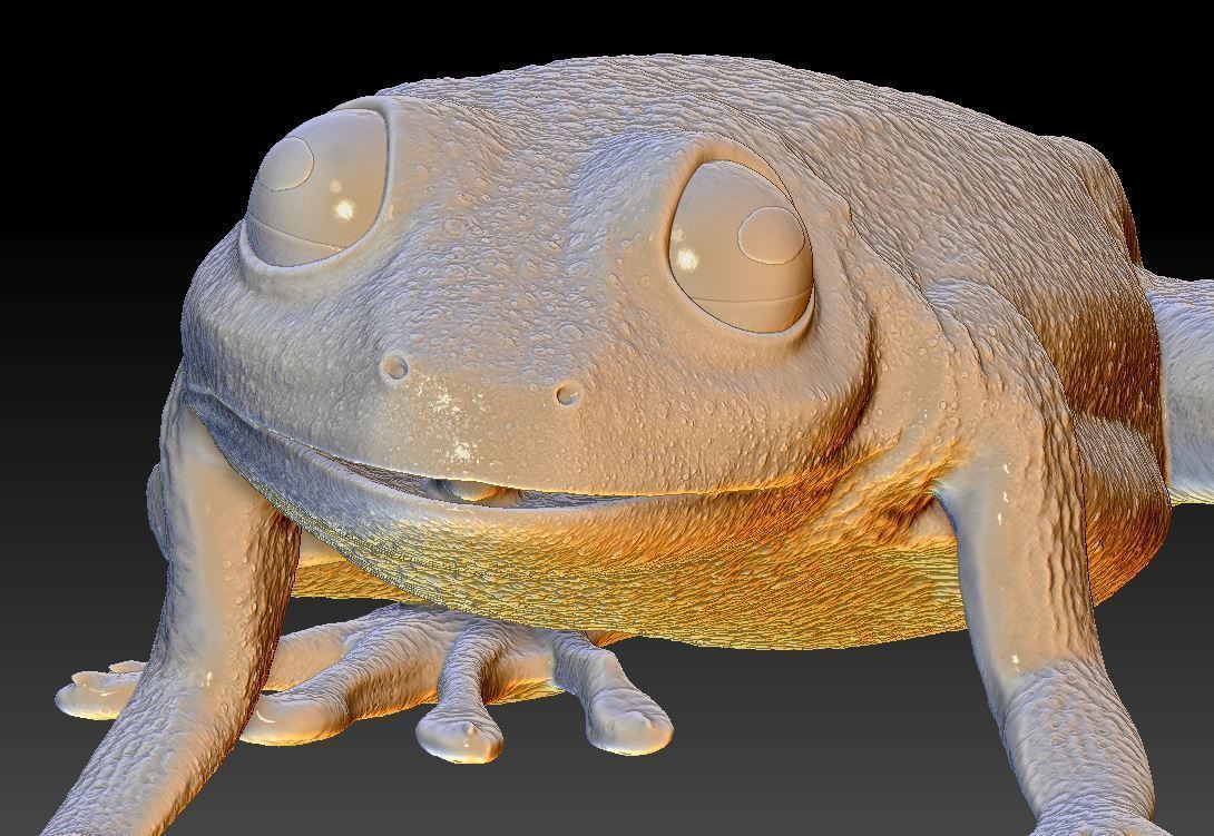 Poison dart frog 3D print model_9
