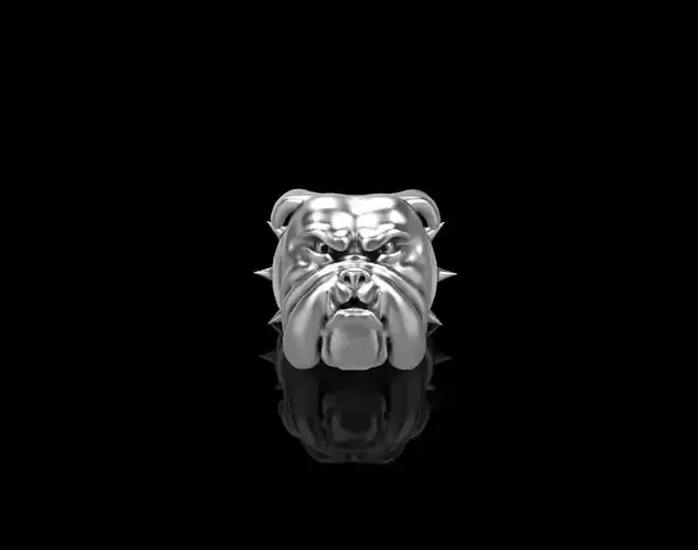 Bulldog Ring Jewelery Silver