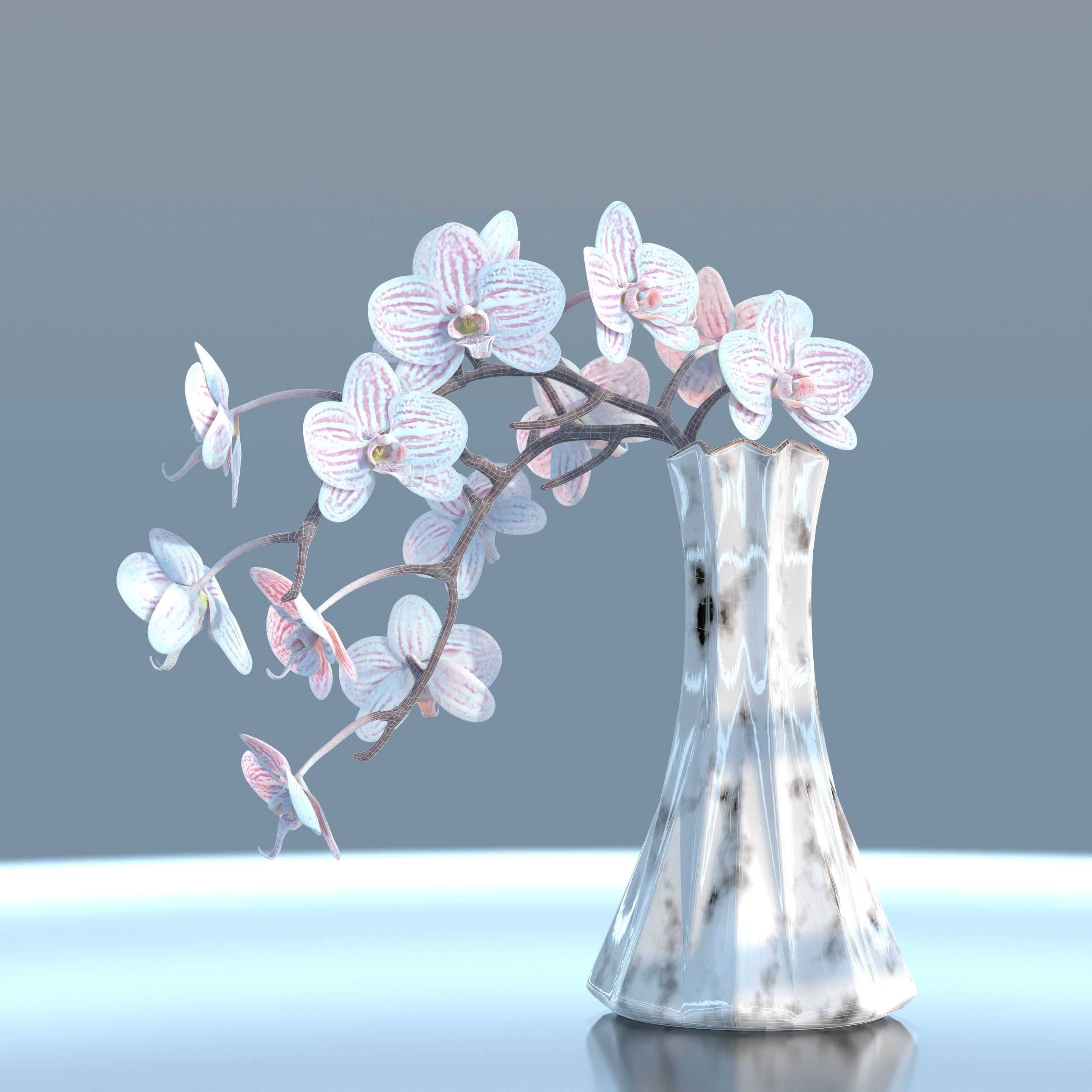 Moth Orchids Jar 3D model_1
