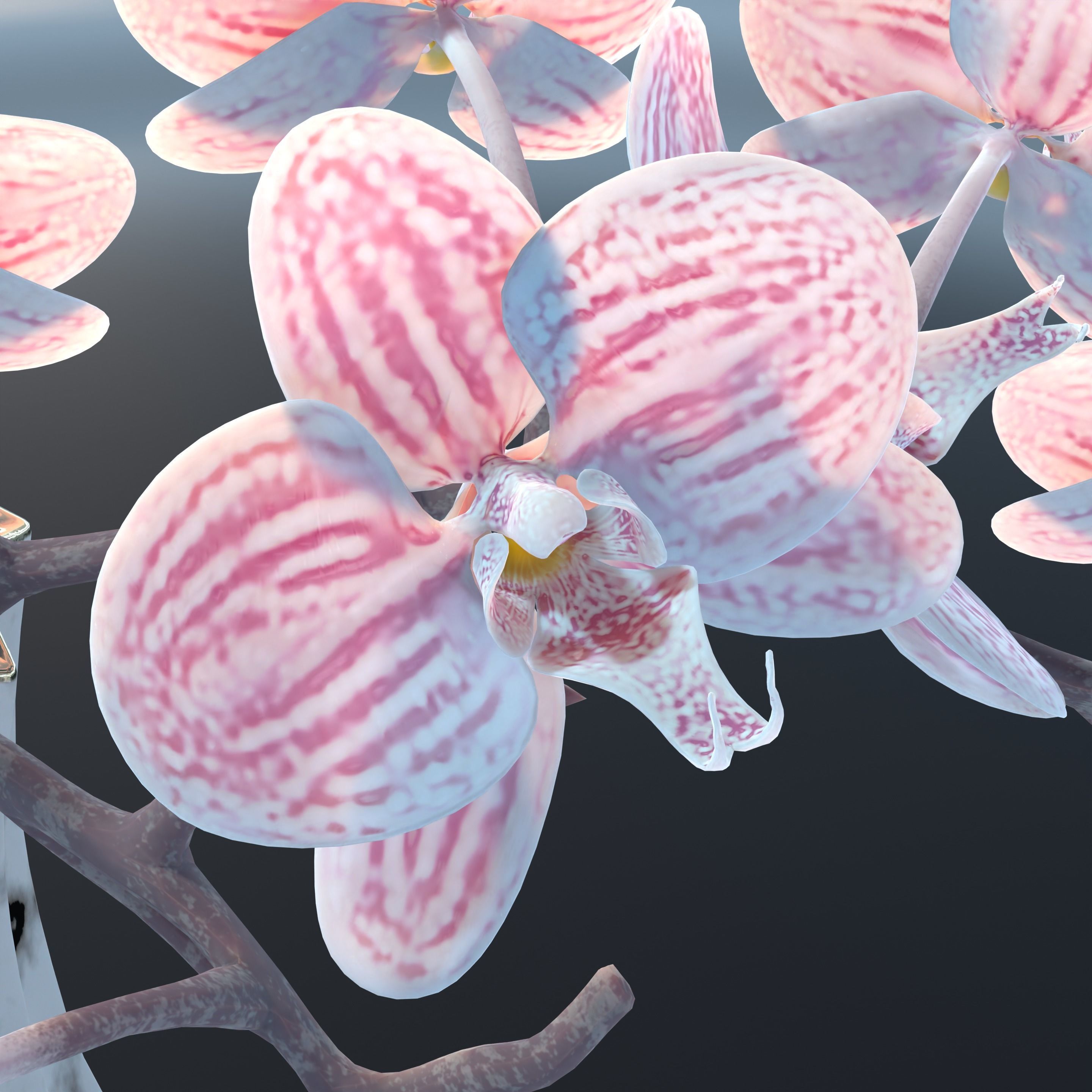 Moth Orchids Jar 3D model_15