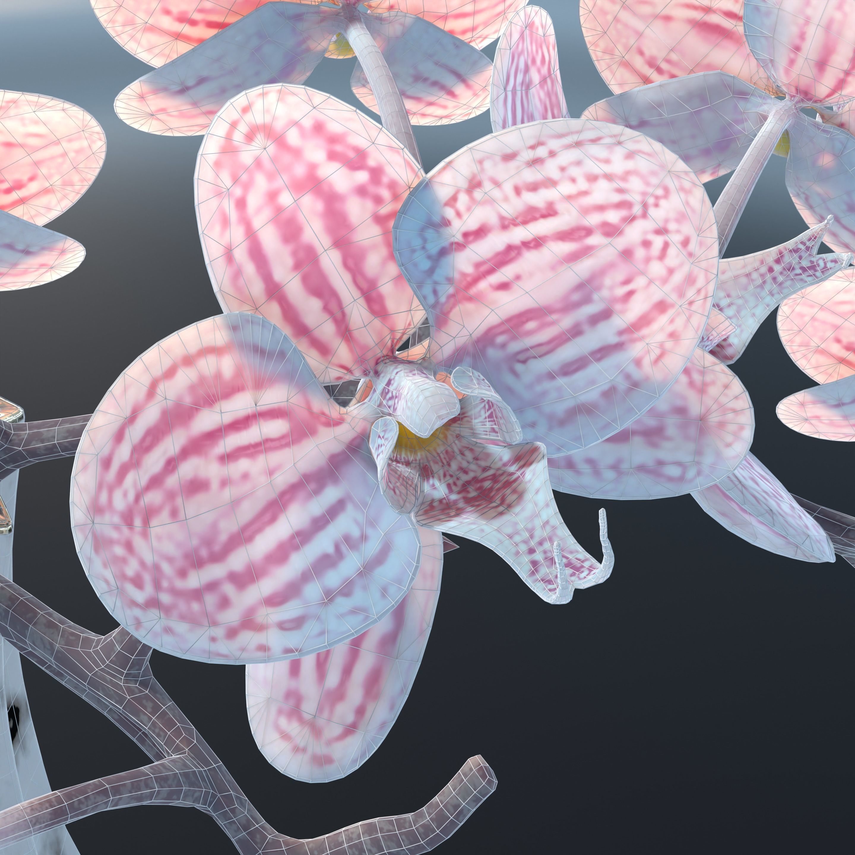Moth Orchids Jar 3D model_16