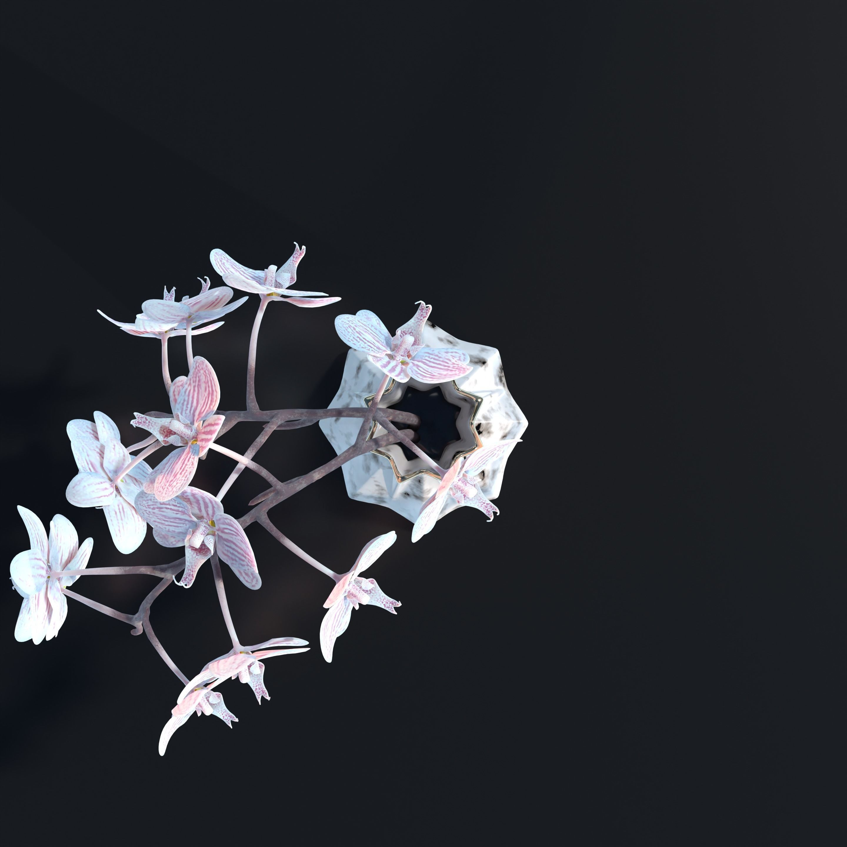 Moth Orchids Jar 3D model_17