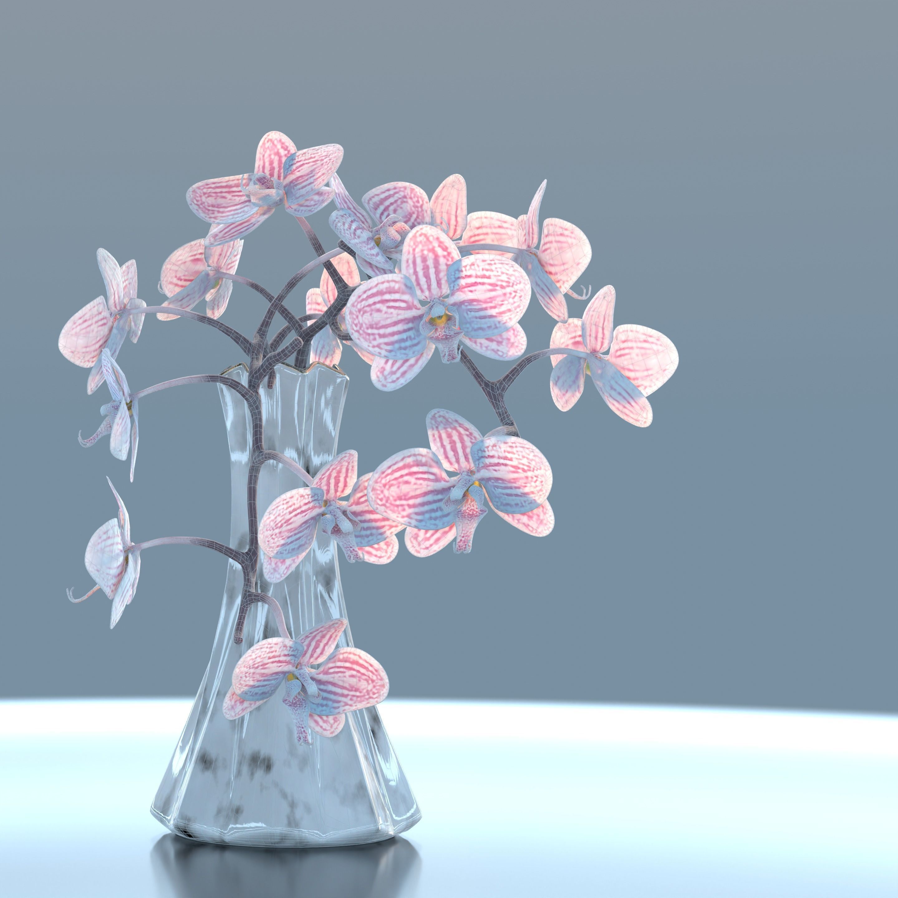 Moth Orchids Jar 3D model_11