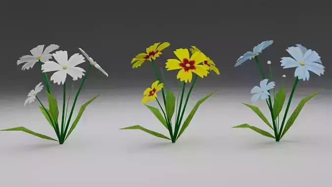 Coreopsis Flower Free low-poly 3D model
