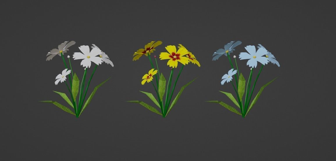 Coreopsis Flower Free low-poly 3D model_6