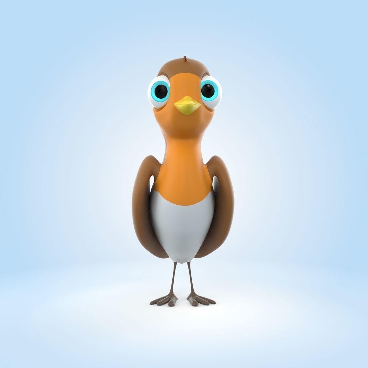 Robin Bird 3D model_5