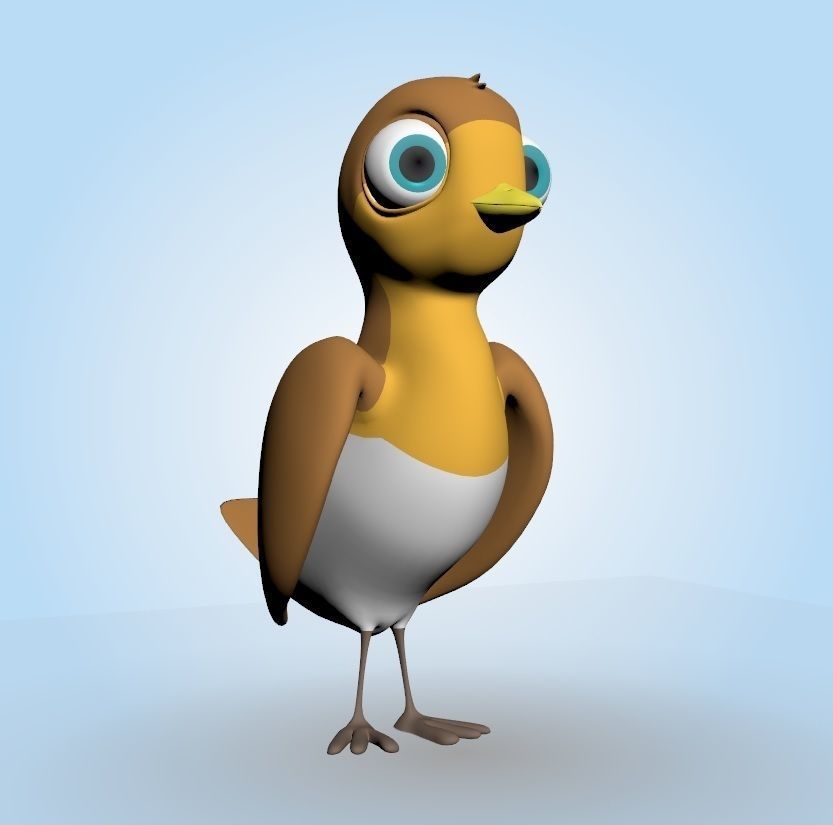 Robin Bird 3D model_6