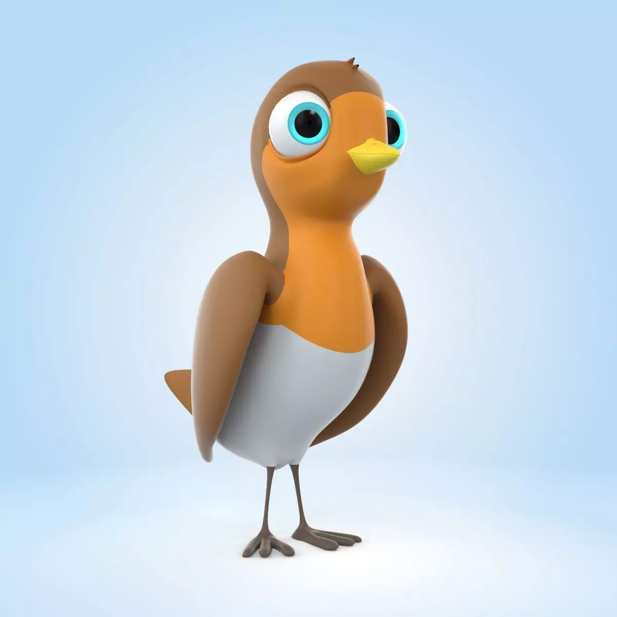 Robin Bird 3D model_0