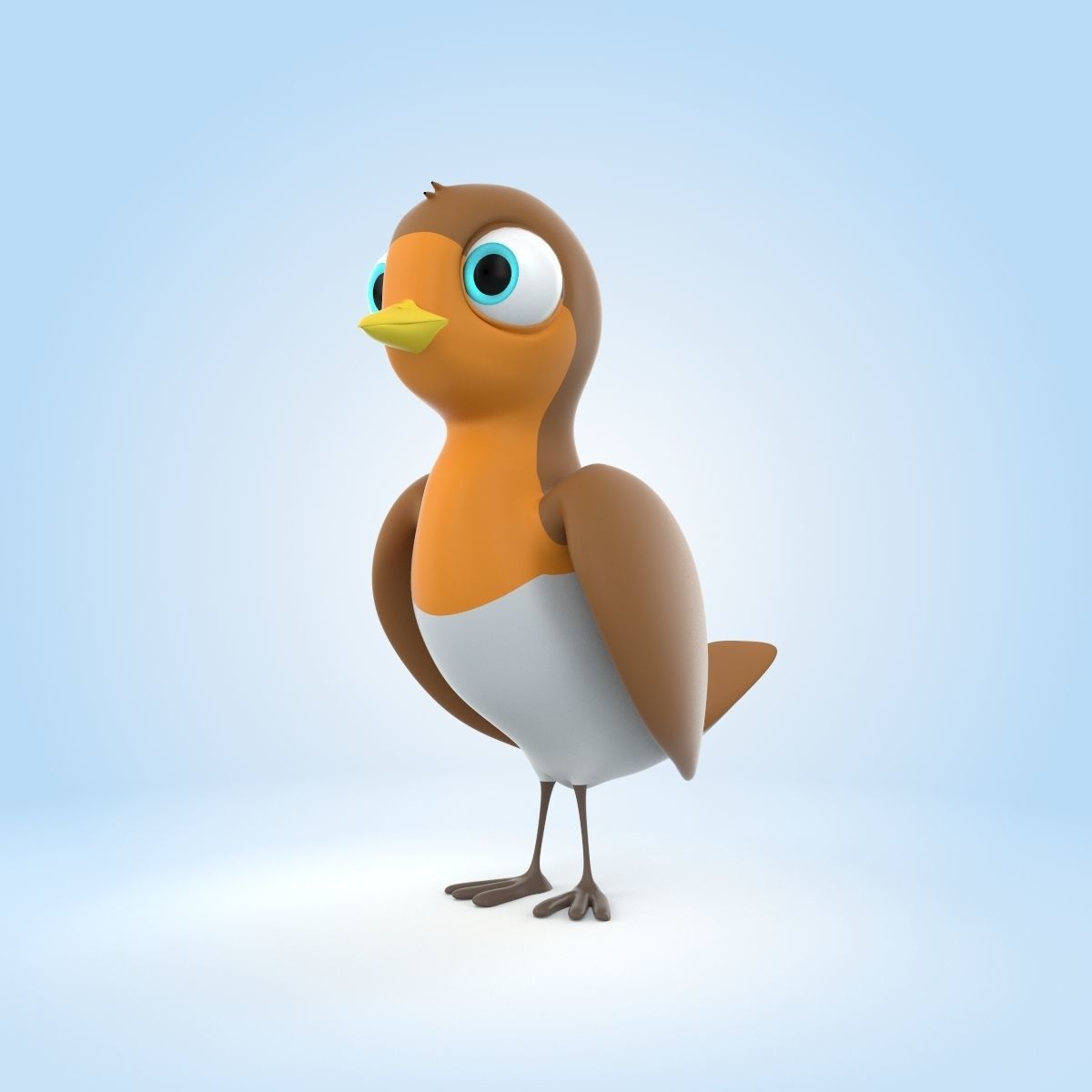 Robin Bird 3D model_4