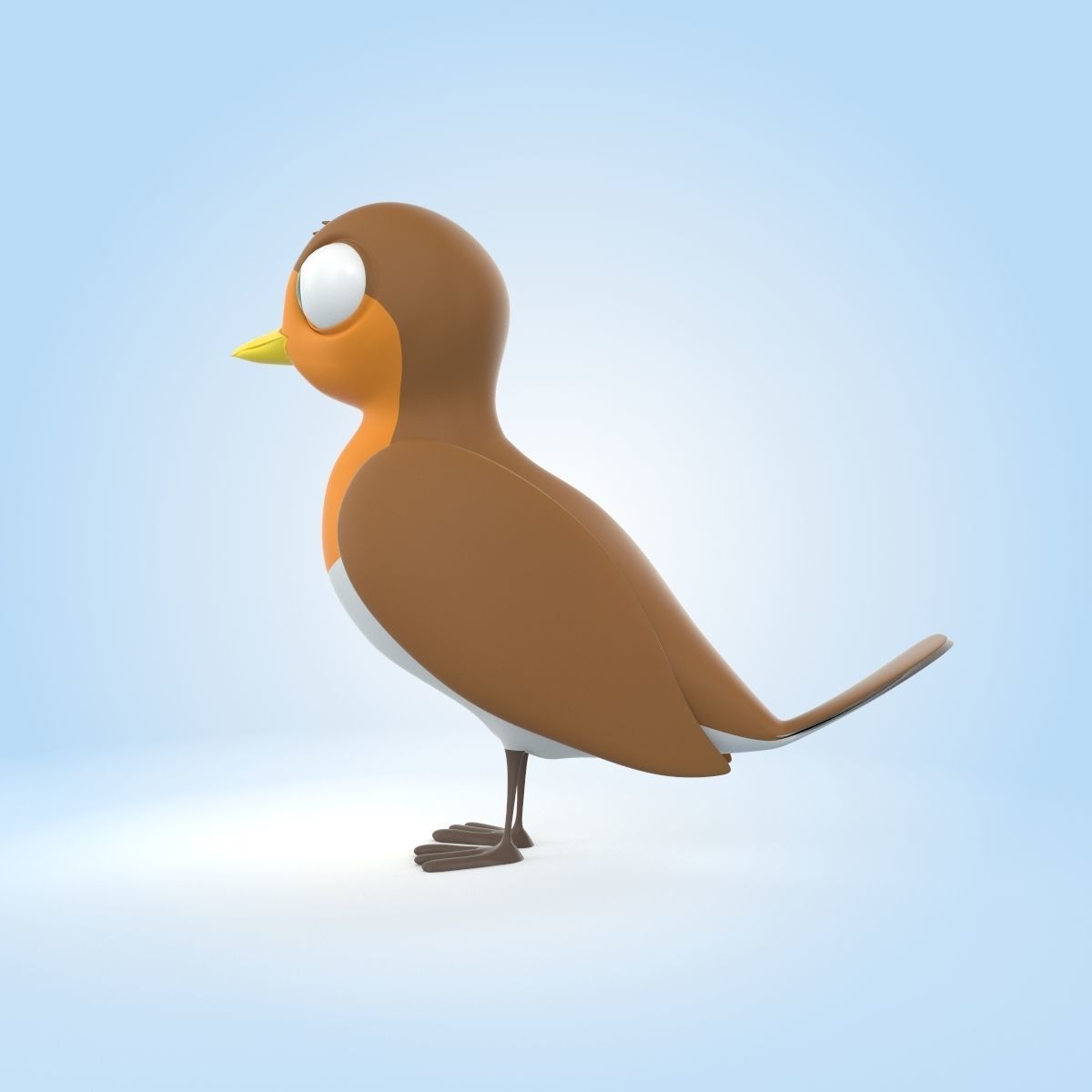 Robin Bird 3D model_3