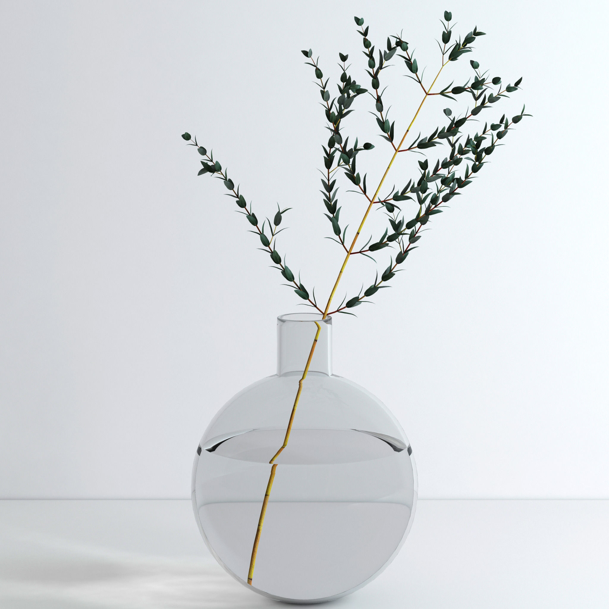 Eucalyptus Parvifolia 3D model_1