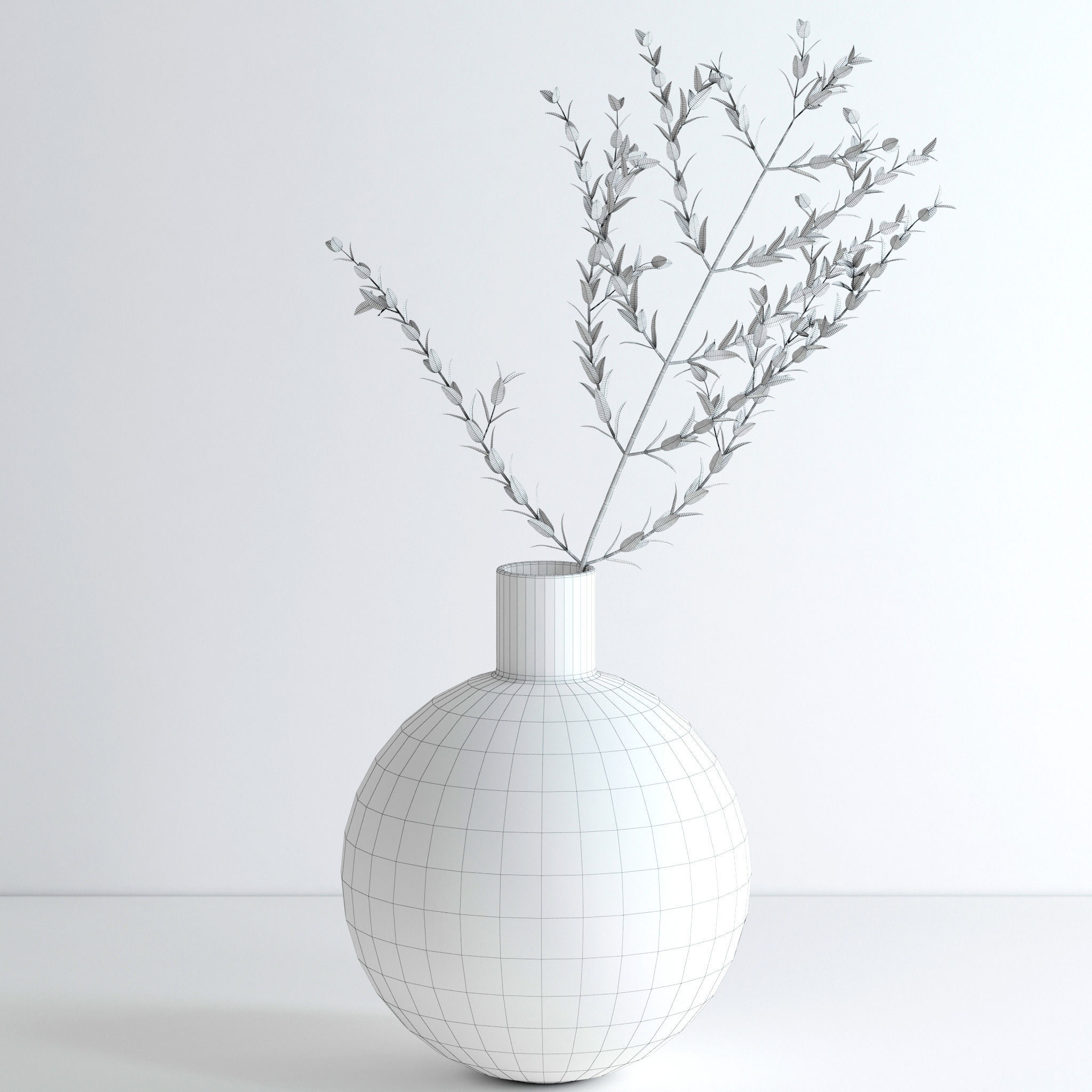 Eucalyptus Parvifolia 3D model_8