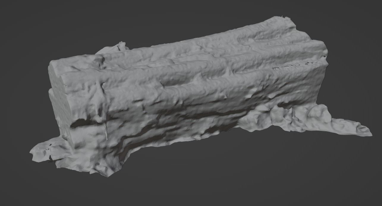 4K Snow Covered Cut Log Photoscan Low-poly 3D model_14