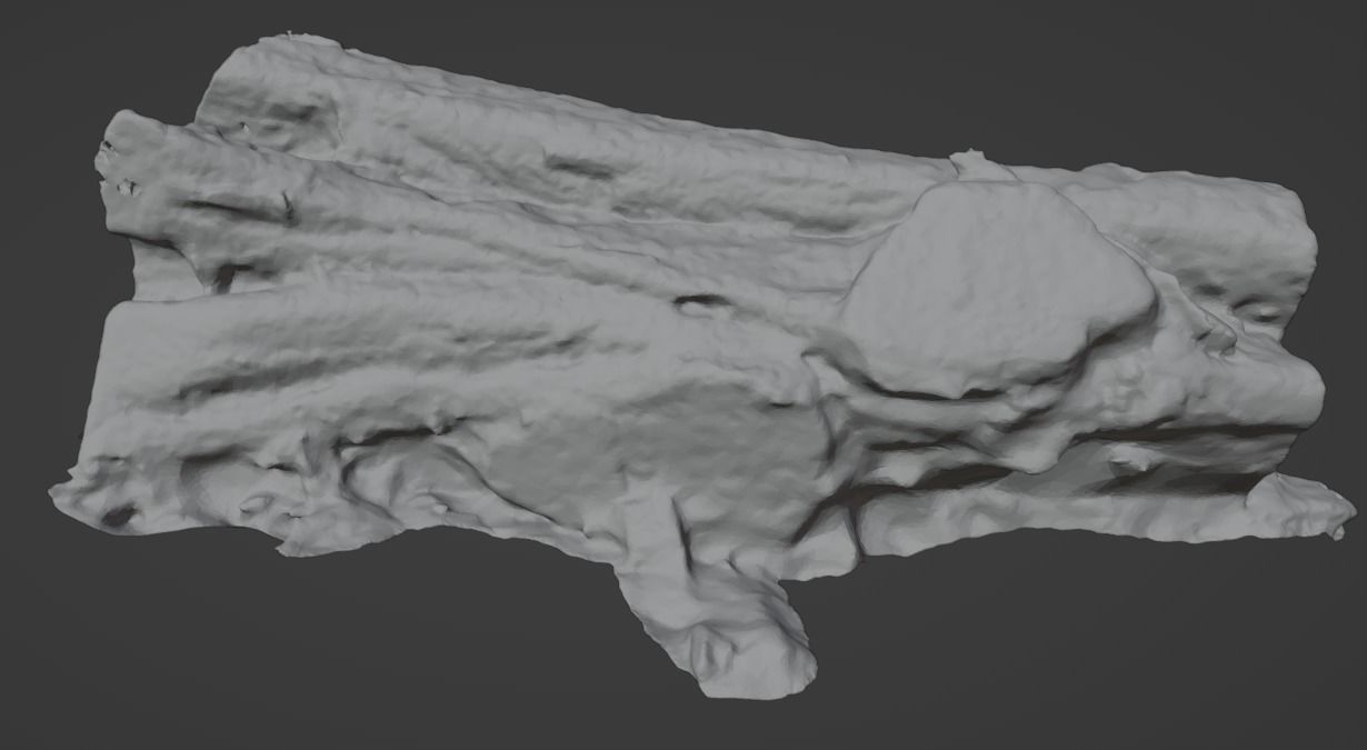 4K Snow Covered Cut Log Photoscan Low-poly 3D model_12