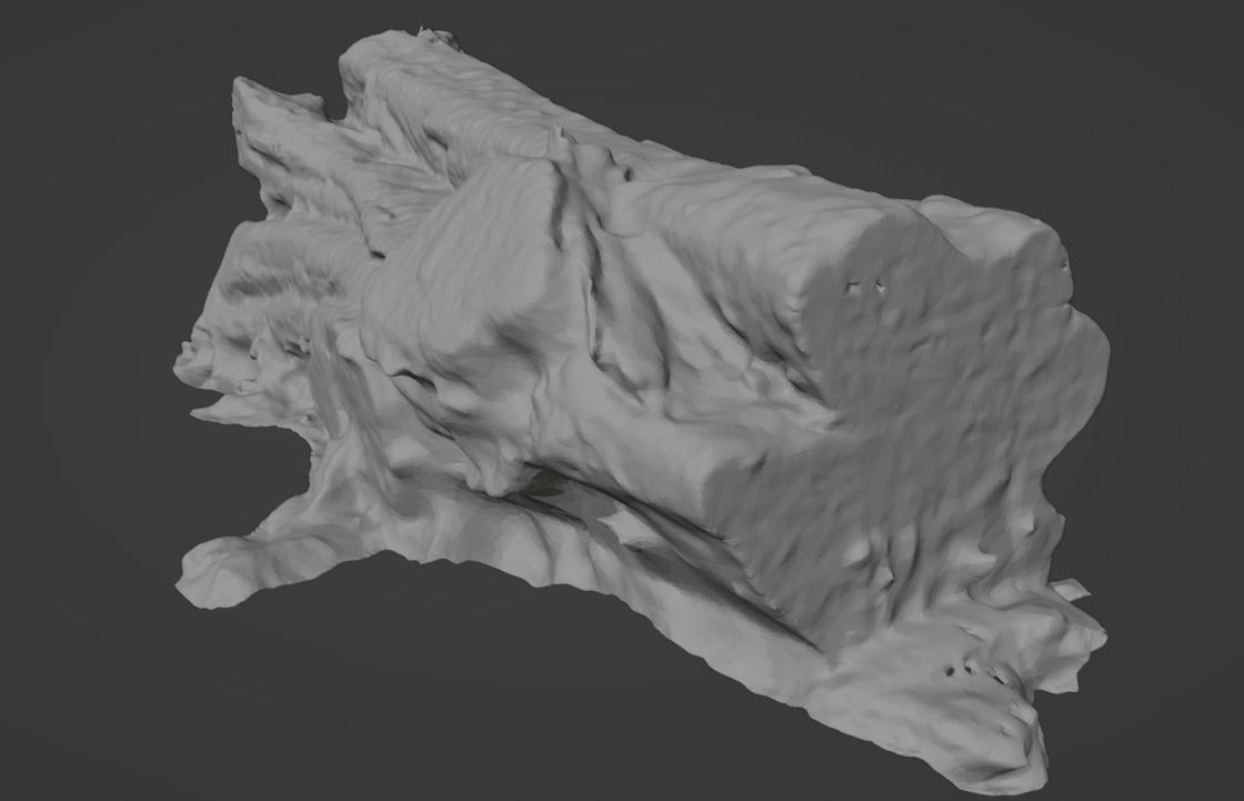 4K Snow Covered Cut Log Photoscan Low-poly 3D model_13