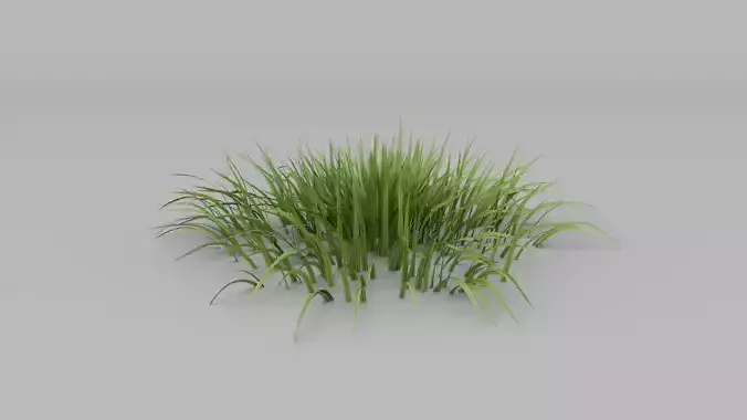 Grass