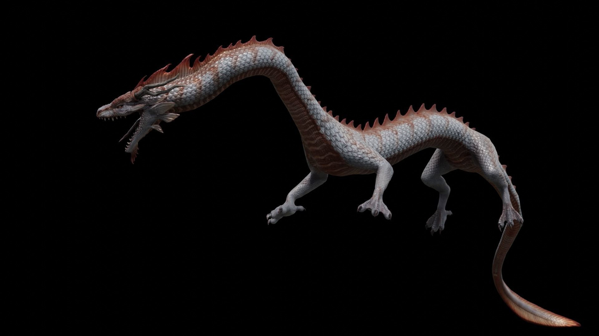 Asian Serpent Dragon Low-poly 3D model_6