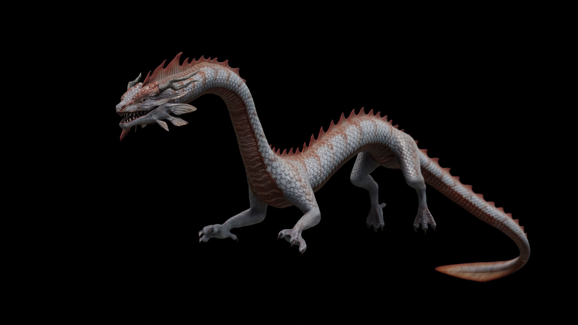 Asian Serpent Dragon Low-poly 3D model_33