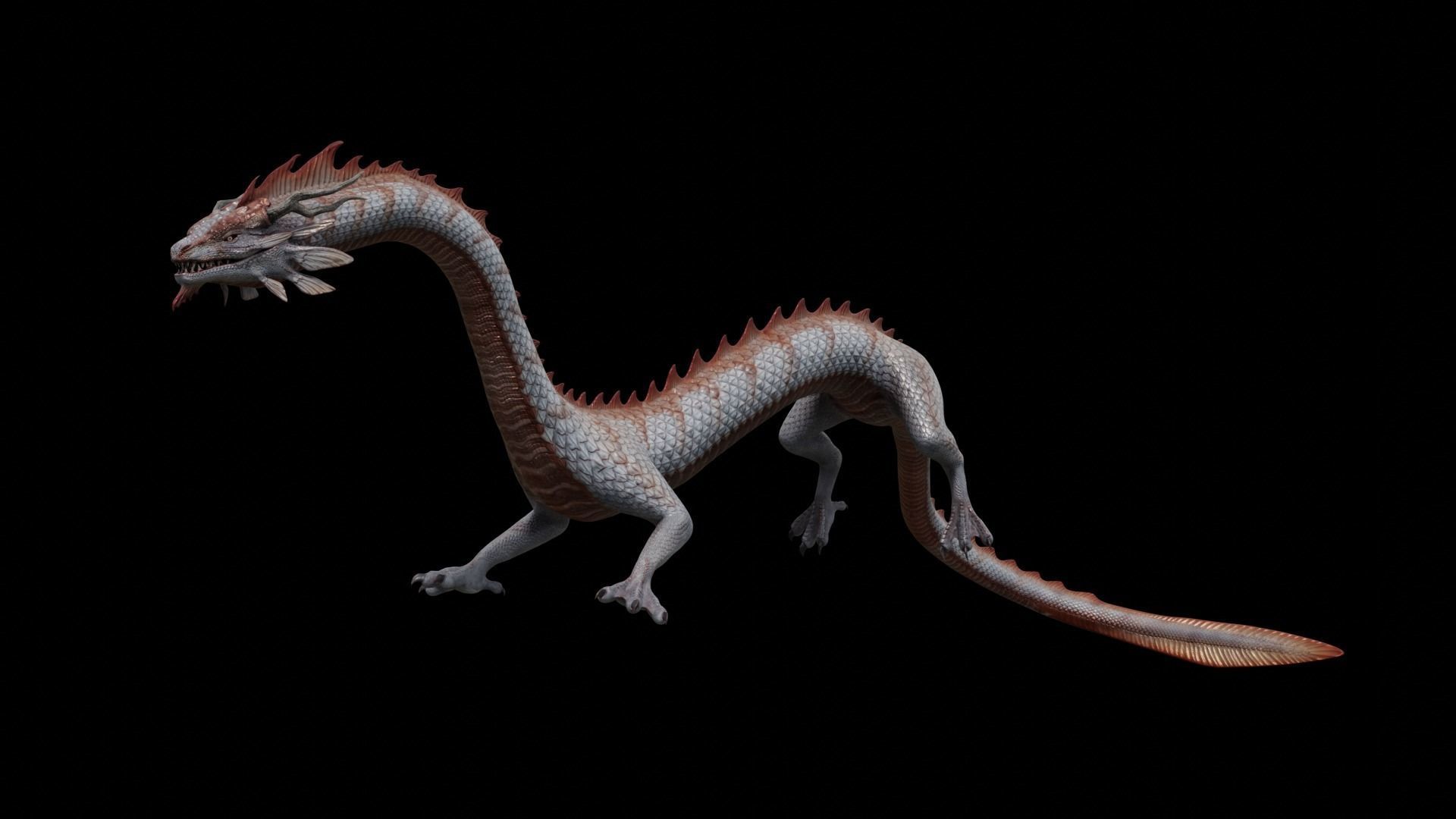 Asian Serpent Dragon Low-poly 3D model_28