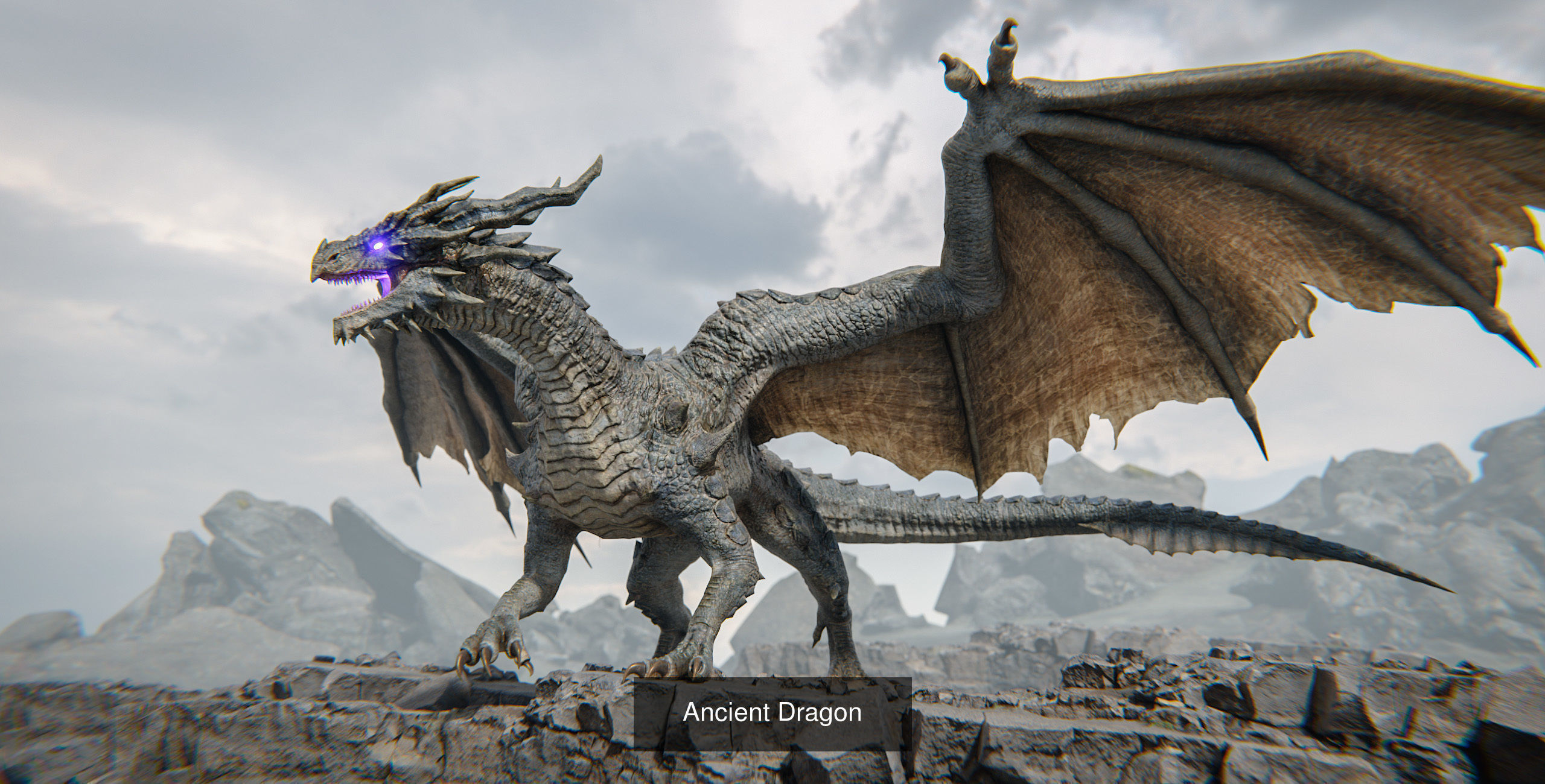 Dragons Megapack 3D Model Collection_19