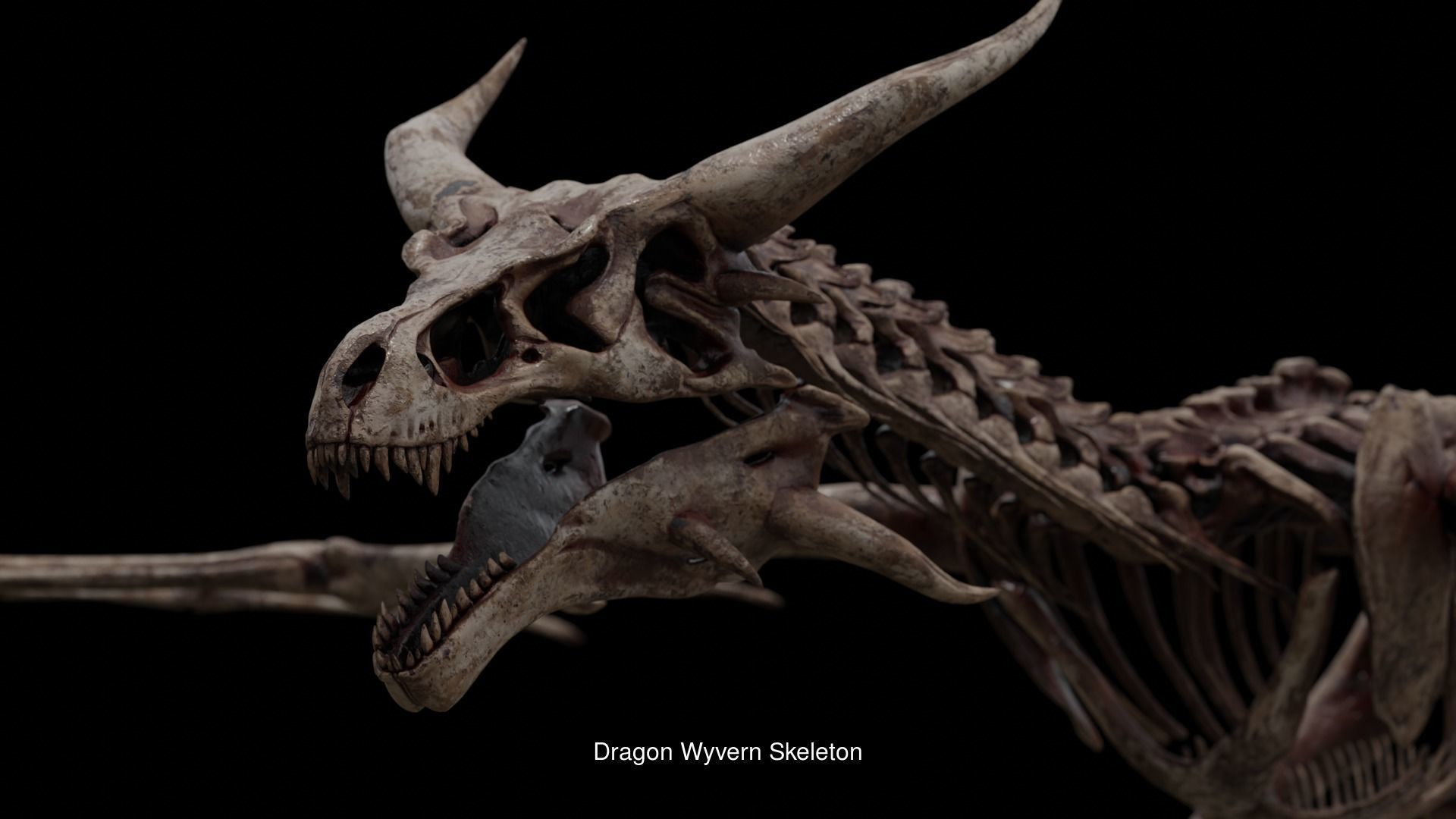 Dragons Megapack 3D Model Collection_20