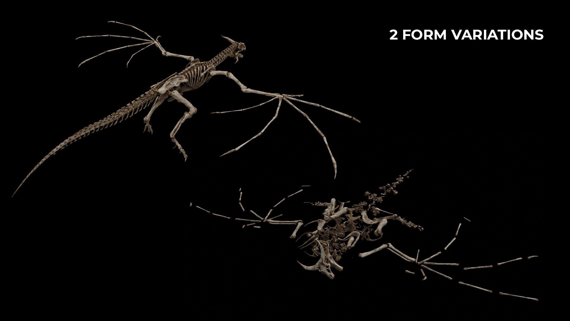 Dragons Megapack 3D Model Collection_50