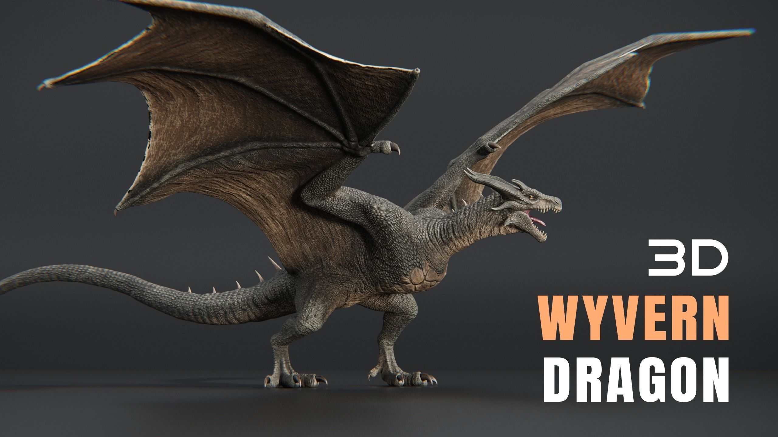 Dragons Megapack 3D Model Collection_11