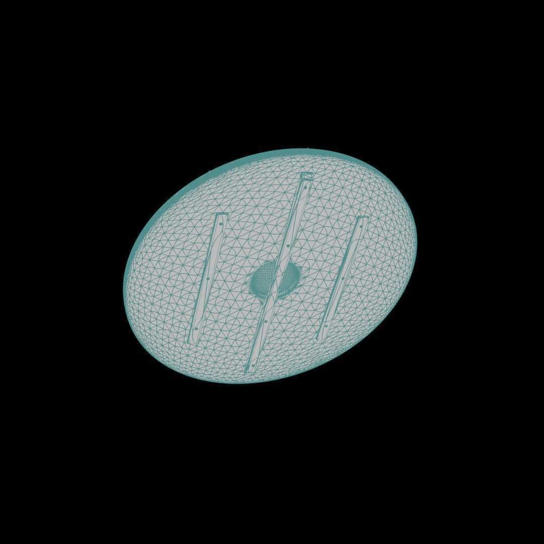 Viking Shield var 04 Low-poly 3D model_6